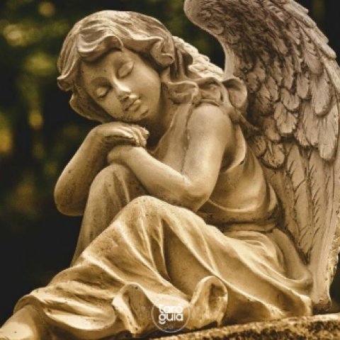 Como se conectar com seu Santo Anjo Guardi�o?